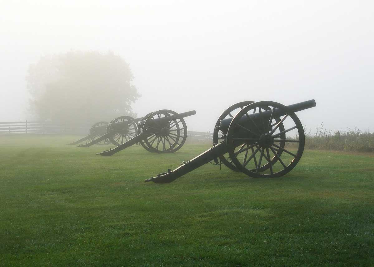 Wilderness Battlefield Stock Image with Cannons