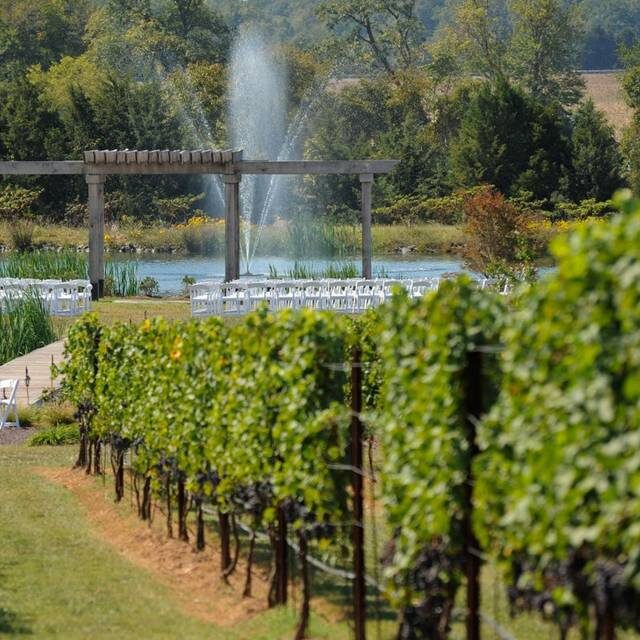 1340995294091-weddingwalk